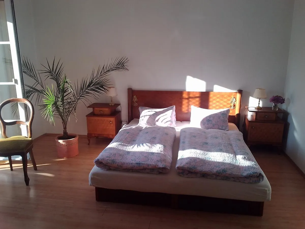 Pension Baron Schoeneck Karlovy Vary 0*,
